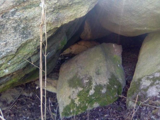 Новини Вінниці - фото з «Це справжній музей каменів…» Пропонуємо оглянути дивовижні зображення на березі Бугу