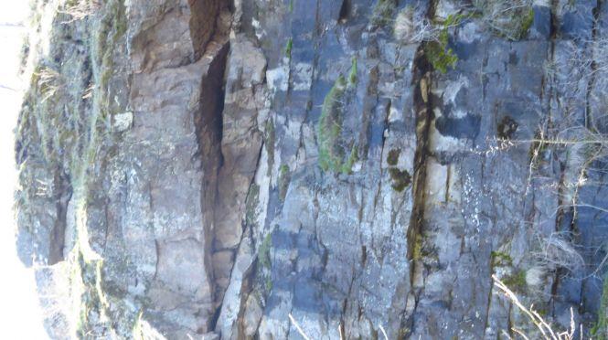 Новини Вінниці - фото з «Це справжній музей каменів…» Пропонуємо оглянути дивовижні зображення на березі Бугу