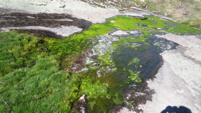 Новини Вінниці - фото з «Це справжній музей каменів…» Пропонуємо оглянути дивовижні зображення на березі Бугу