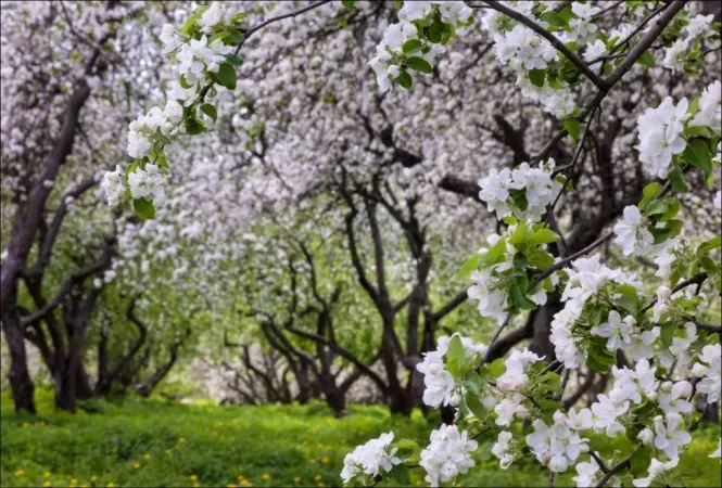 Новини Тернополя - фото з Куди можна поїхати на велосипеді на Тернопільщині. Маршрути для новачків та професіоналів (КАРТИ)