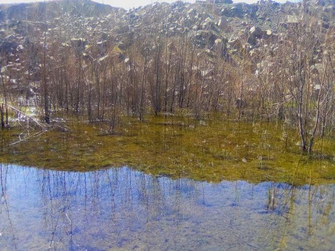 Новини Вінниці - фото з «Це справжній музей каменів…» Пропонуємо оглянути дивовижні зображення на березі Бугу