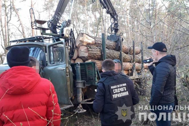 Новини Вінниці - фото з Надзвичайна ситуація в країні та сильні заморозки: важливе за 21 квітня на 20minut.ua Викрили злочинну групу, яка різала ліс. Сума збитків — встановлюється