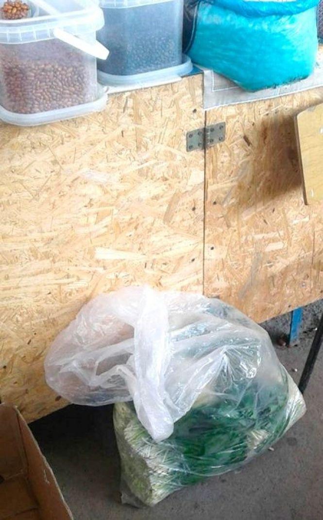 Новини Хмельницького - фото з На хмельницькому продовольчому ринку оштрафували трьох продавців черемші
