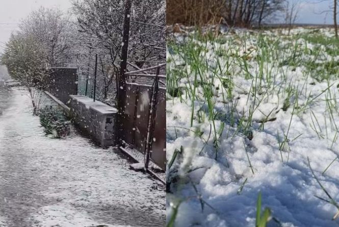 Новини Вінниці - фото з Квітневий сніг, бабуся-тіктотерка та інше важливе за 26 квітня на 20minut.ua ФОТО та ВІДЕО дня. У страсний понеділок на Вінниччині випав сніг