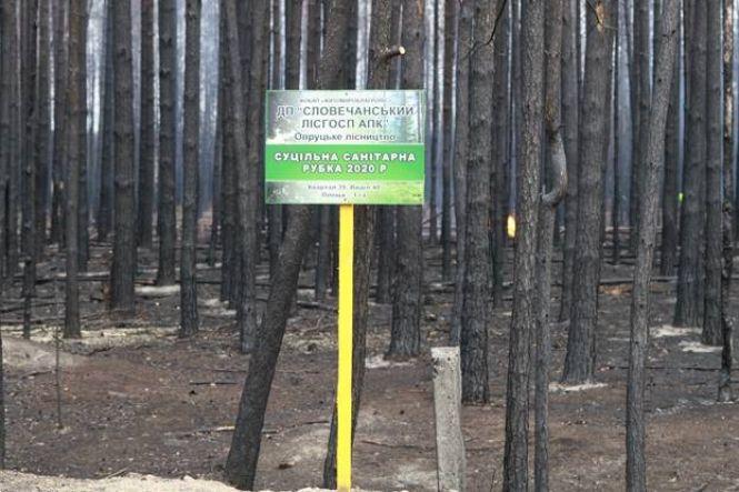 Новини Житомира - фото з Лісові пожежі рятуватимуть 30-річні УРАЛи вартістю 1,3 мільйони