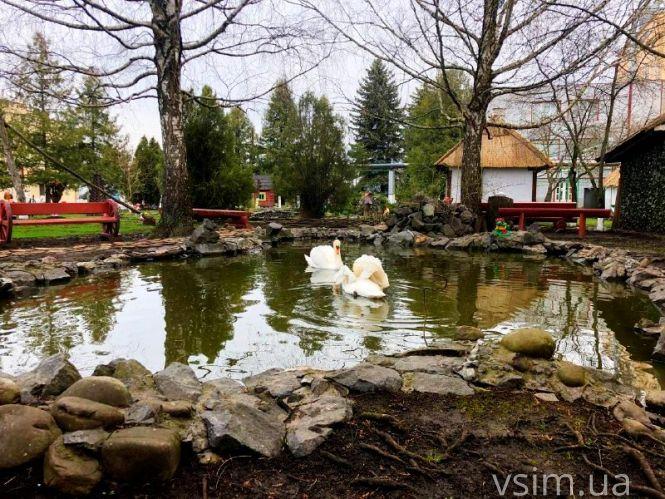 Новини Хмельницького - фото з Лебеді та обіди по 2 гривні: репортаж із Дунаєвецького хлібокомбінату, який продають за 187 мільйонів