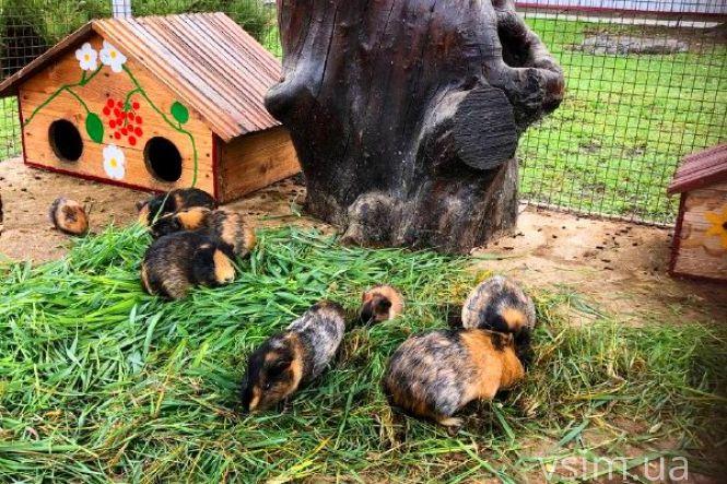 Новини Хмельницького - фото з Лебеді та обіди по 2 гривні: репортаж із Дунаєвецького хлібокомбінату, який продають за 187 мільйонів