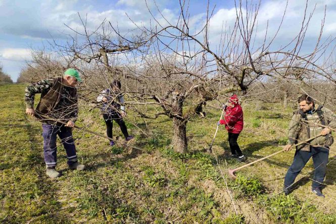 Новини Вінниці - фото з Збили насмерть дитину, серійні крадії та інше важливе за 28 квітня на 20minut.ua «Тату, це вже не наш сад!..» Як без згоди власників земля перейшла в оренду підприємцям