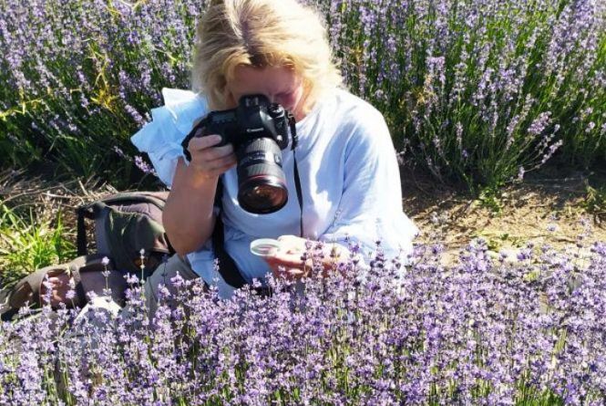 Новини Вінниці - фото з Горів склад «Соняху», будинок схожий на вулик та інше важливе за 23 липня на 20minut.ua «Ніби хтось розлив парфуми».  У Ладижині цвіте лаванда — беріть розсаду і заробляйте гроші