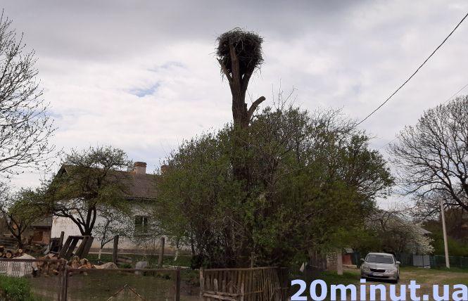 Новини Тернополя - фото з Понівечені долі, біда у двох сім’ях: як живуть села на Теребовлянщині, де на Великдень сталась трагедія