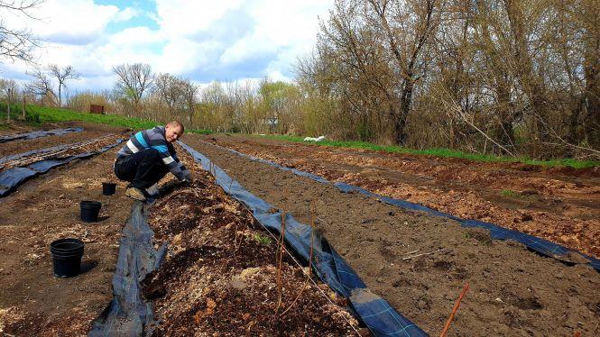 Новини Вінниці - фото з Проєкт «З міста в село».  Як карантин допоміг реалізувати ідею вінничанину Андрію Федику
