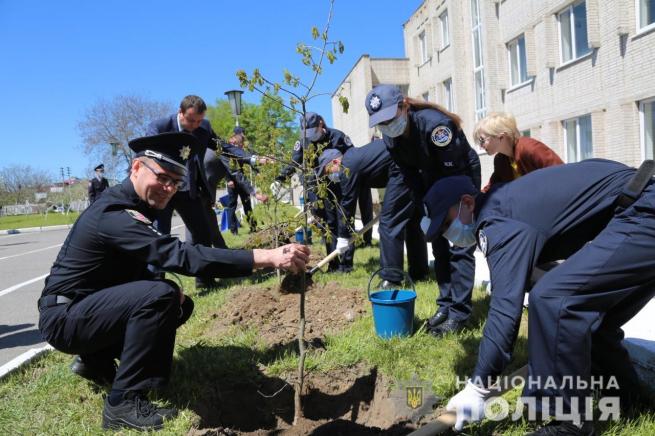 Новини Вінниці - фото з У Вінниці 36 юнаків та дівчат дали клятву кадета та засадили алею слави