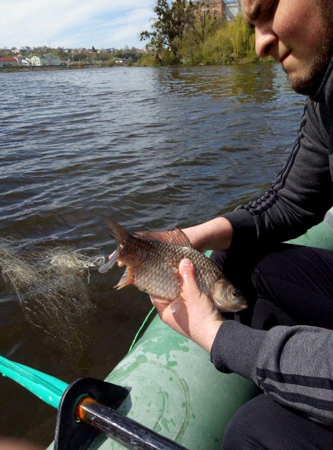 Новини Вінниці - фото з «Врятувати черепаху». Як вінничани випускали з сіток здобич браконьєрів біля Фестивального