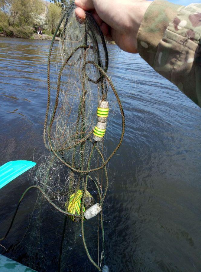 Новини Вінниці - фото з «Врятувати черепаху». Як вінничани випускали з сіток здобич браконьєрів біля Фестивального