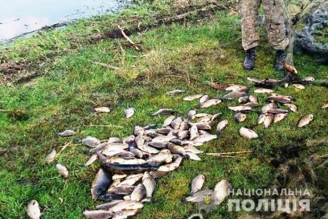 Новини Вінниці - фото з На Вінниччині зловили 200 бракон'єрів, які в нерест ловили рибу