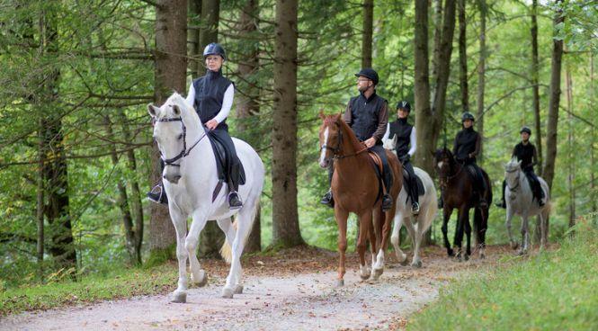 Новини Тернополя - фото з Активні та екстремальні розваги на Тернопільщині: куди поїхати та скільки це коштує (КАРТА)