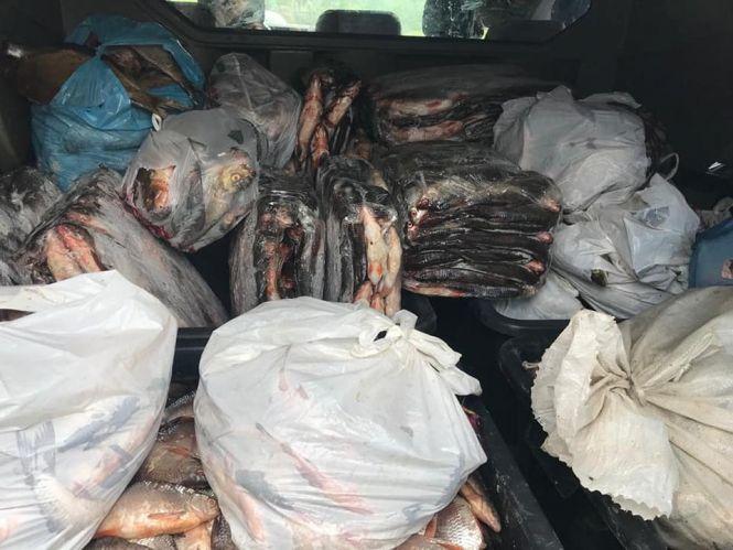 Новини Хмельницького - фото з На Хмельниччині зупинили бус, вщент набитий рибою. На водія склали протокол