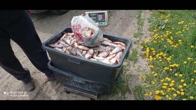 Новини Хмельницького - фото з На Хмельниччині зупинили бус, вщент набитий рибою. На водія склали протокол