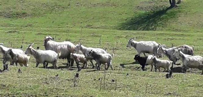 Новини Вінниці - фото з «Це не Буг і не Дністер». Стартував новий сезон сплаву на човнах по річці Мурафа