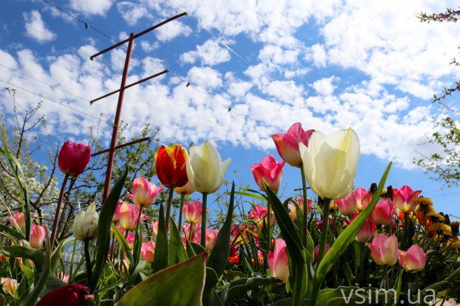 Новини Хмельницького - фото з Сім’я на Хмельниччині створила “квітковий рай” (ФОТО+ВІДЕО)