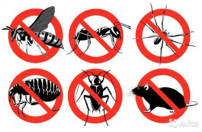 Новини Хмельницького - фото з Дезінфекція професійним озонатором доступна на автомийці «Delfin» (Новини компаній)