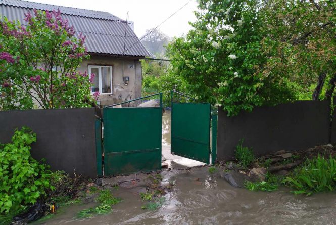 Новини Вінниці - фото з Негода вирує. На Львівському шосе вітер повалив на дорогу дерево Злива у Жмеринці. Водою позатоплювало житлові будинки та обійстя