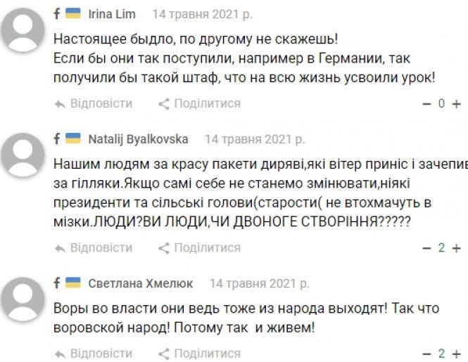 Новини Вінниці - фото з «Це вже не люди, а дикуни». Спочатку знищили 26 саджанців туї, а тепер ще  сім вирвали з корінням
