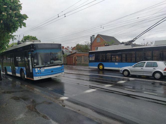 Новини Вінниці - фото з Негода вирує. На Львівському шосе вітер повалив на дорогу дерево