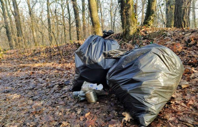 Новини Вінниці - фото з Екопікнік: скільки коштує бути свідомим на природі?