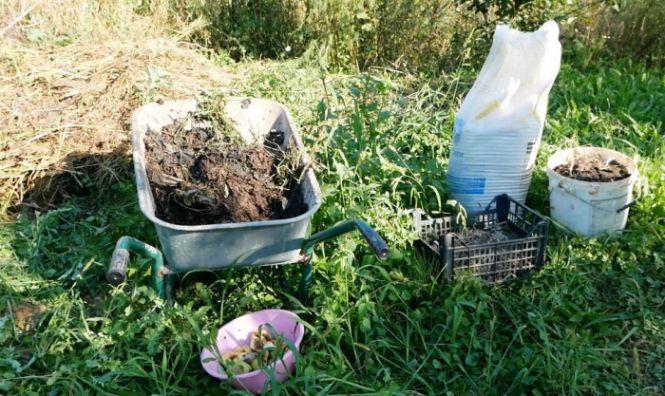 Новини Вінниці - фото з Екопікнік: скільки коштує бути свідомим на природі?