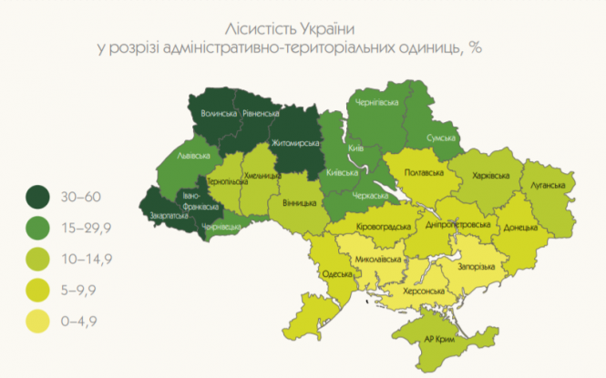Новини Тернополя - фото з В Тернопільському районі не вистачає лісів: чим це нам загрожує?