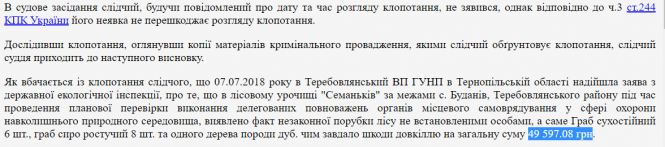Новини Тернополя - фото з В Тернопільському районі не вистачає лісів: чим це нам загрожує?