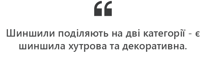 Новини Хмельницького - фото з Шиншилову ферму тримає сім’я на Летичівщині: як доглядає, за скільки продає (ФОТО+ВІДЕО)