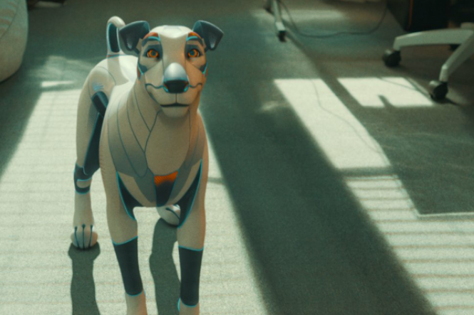 Новини Вінниці - фото з Побачити «Арктичних верблюдів» і найбільший фестиваль кіно для дітей – вінничани можуть до 6 червня