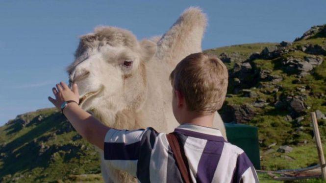 Новини Вінниці - фото з Побачити «Арктичних верблюдів» і найбільший фестиваль кіно для дітей – вінничани можуть до 6 червня