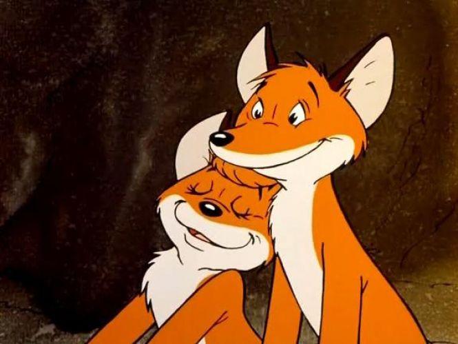 Новини Вінниці - фото з Побачити «Арктичних верблюдів» і найбільший фестиваль кіно для дітей – вінничани можуть до 6 червня