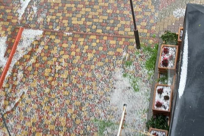 Новини Вінниці - фото з Травневий град та нові ціни на електроенергію: важливе за 30 травня на 20minut.ua Травневий град у Вінниці. За декілька хвилин земля вкрилась горошинами