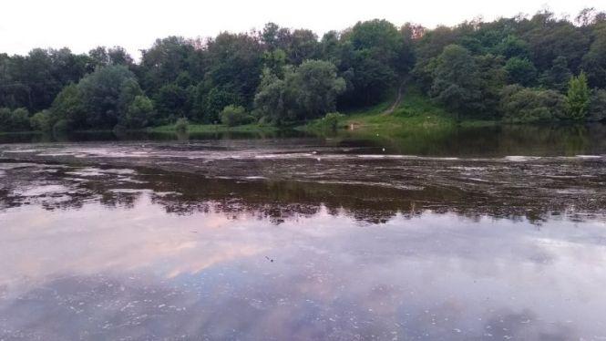 Новини Житомира - фото з Що п'ють житомиряни: після зливи у кранах - брудна рідина