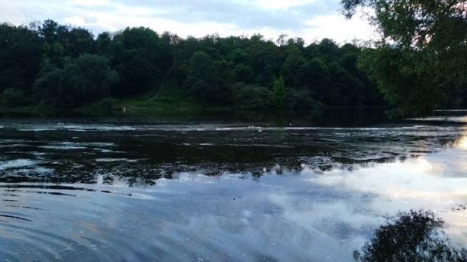 Новини Житомира - фото з Що п'ють житомиряни: після зливи у кранах - брудна рідина