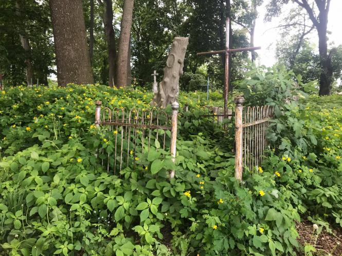 Новини Хмельницького - фото з Кладовище на Кам’янецькій заросло бур’янами. Коли там почнуть робити парк Нет описания.