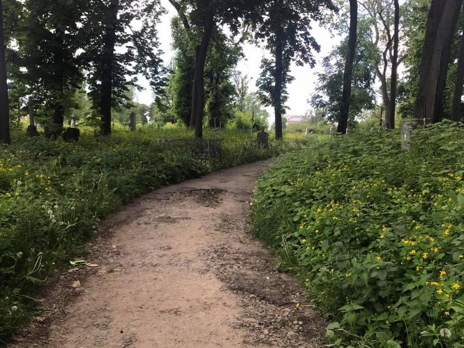 Новини Хмельницького - фото з Кладовище на Кам’янецькій заросло бур’янами. Коли там почнуть робити парк Нет описания.