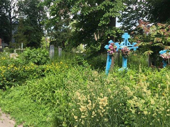 Новини Хмельницького - фото з Кладовище на Кам’янецькій заросло бур’янами. Коли там почнуть робити парк Нет описания.