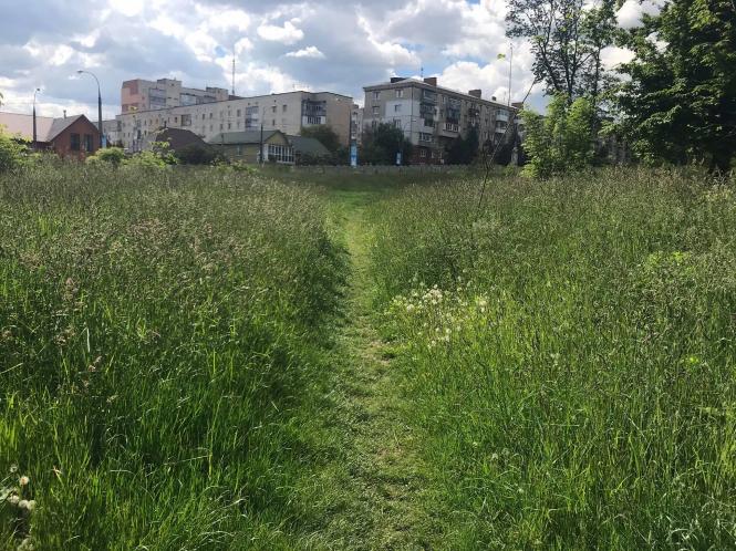Новини Хмельницького - фото з Кладовище на Кам’янецькій заросло бур’янами. Коли там почнуть робити парк Нет описания.