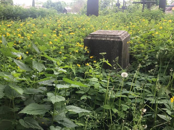 Новини Хмельницького - фото з Кладовище на Кам’янецькій заросло бур’янами. Коли там почнуть робити парк Нет описания.