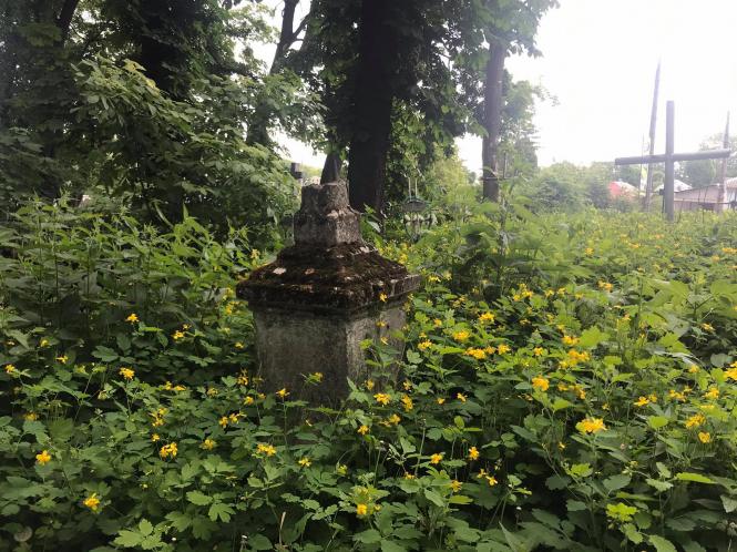 Новини Хмельницького - фото з Кладовище на Кам’янецькій заросло бур’янами. Коли там почнуть робити парк Нет описания.