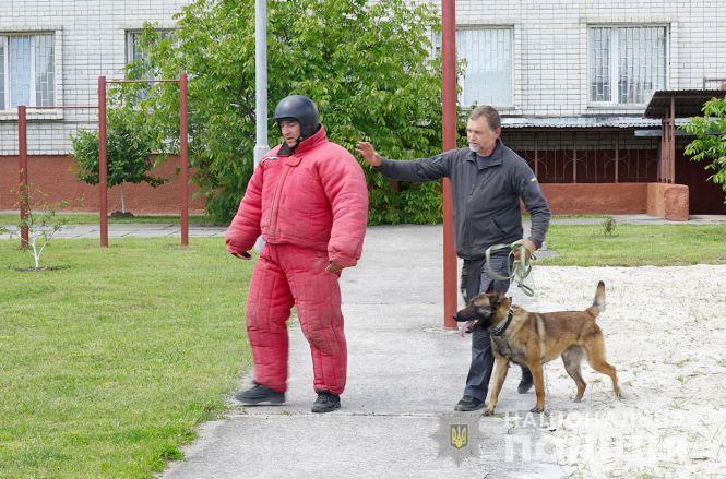 Новини Хмельницького - фото з Шукають наркотики і безвісти зниклих. На Хмельниччині відкрили ще один кінологічний центр