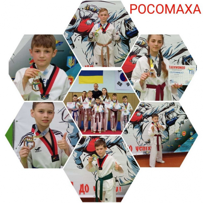 Новини Вінниці - фото з Вінничани перемогли в турнірі з тхеквондо «Західний п’єдестал»