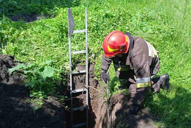 Новини Хмельницького - фото з На Хмельниччині рятували собак, які впали у яму (ФОТО)