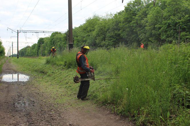 Новини Козятина - фото з Козятин у фото: квіти, калюжі, парасольки та коти