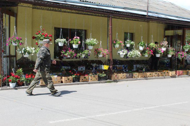 Новини Козятина - фото з Козятин у фото: квіти, калюжі, парасольки та коти